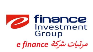 صورة مرتبات شركة e finance في مصر: كل ما تريد معرفته