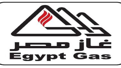 مرتبات شركة غاز مصر