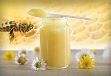 صورة العسل الملكي: خيرات طبيعية تمنحك صحة وجمالًا ملكيًا