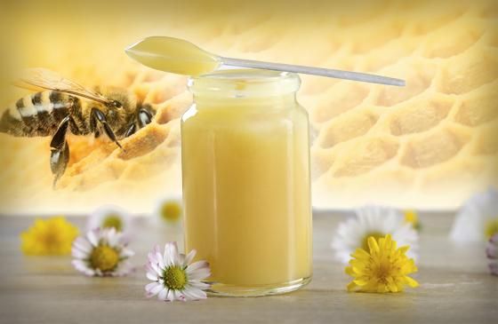 فوائد العسل الملكي